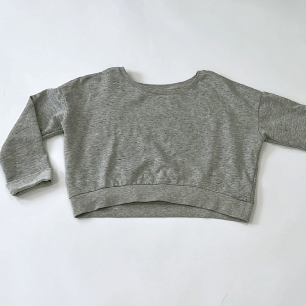 Light Gray Cropped Sweatshirt